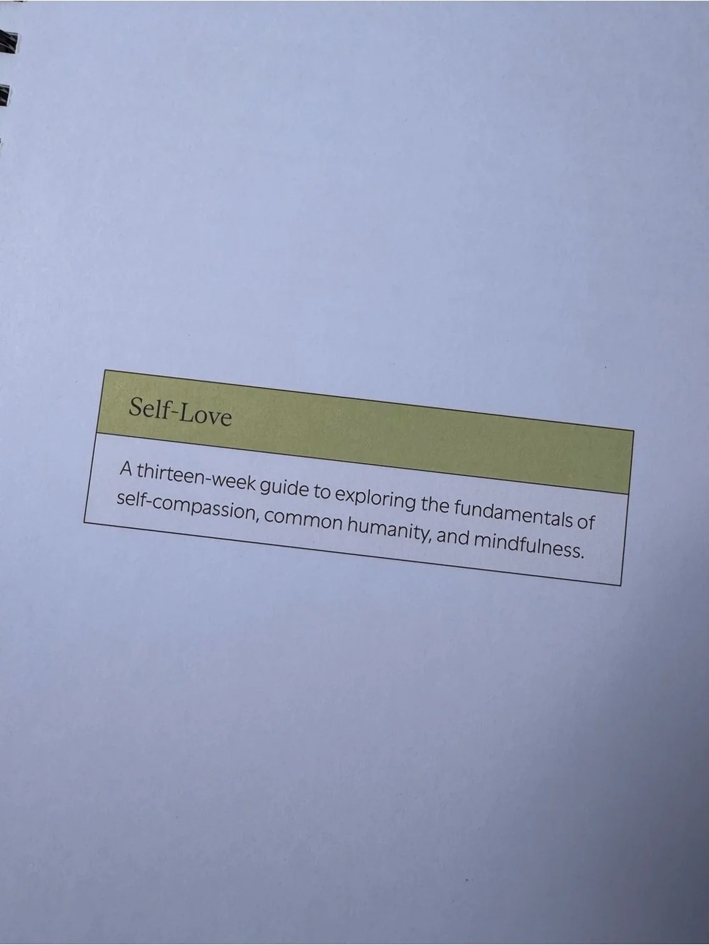 Switch Self-Love 16 Week Guided Notebook — Coral & Green